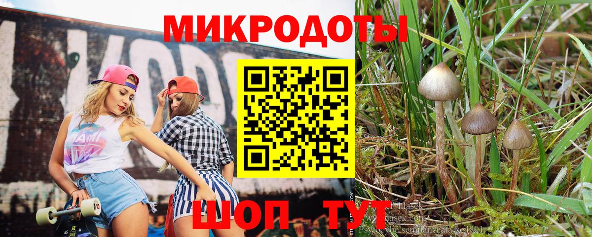 Галлюциногенные грибы прущие грибы Балашиха