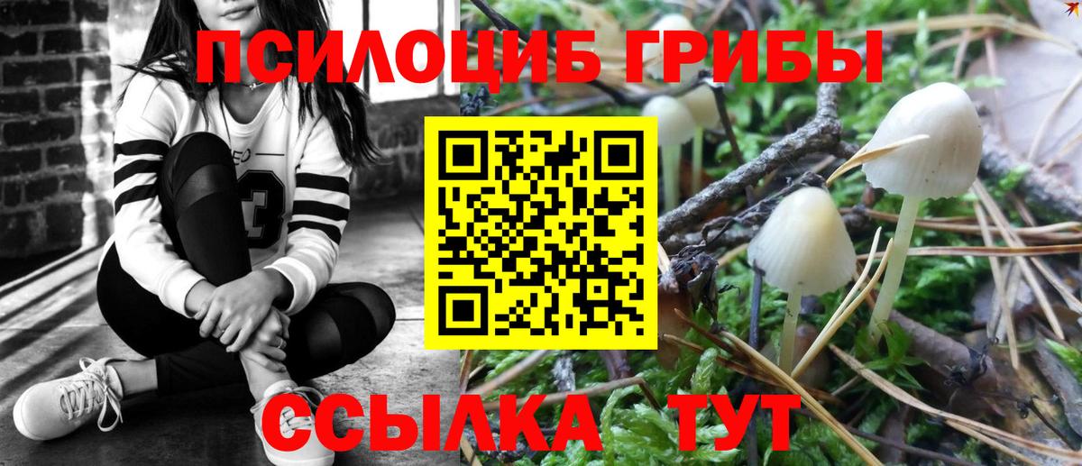 Псилоцибиновые грибы Psilocybine cubensis  Вход с VPN  Галлюциногенные грибы Psilocybe  как найти закладки  Балашиха 